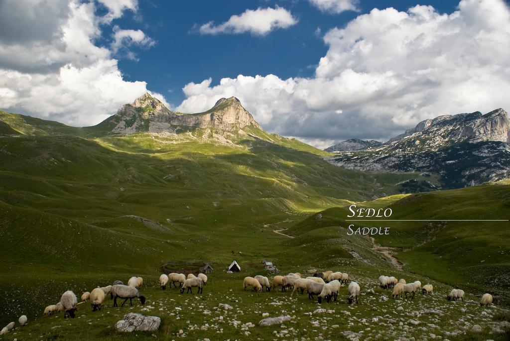 Apartments Peaks Zabljak  Luaran gambar